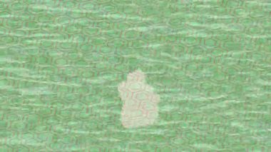 Organik desenli yüzey giriş stili video film sanatı ile soyut arkaplan tasarımı