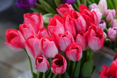 Bir buket çiçek açan pembe laleler, zengin ve katmanlı pembe renk şemasını sunan dolu bir çiçek kabı.