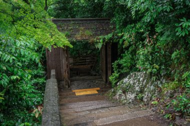 Japonya, Kyoto, Arashiyama 'daki Katsura Nehri' ndeki Daihikaku Senkoji Tapınağı 'na giden merdivenler ve yapraklarla kaplı kemer yolu.