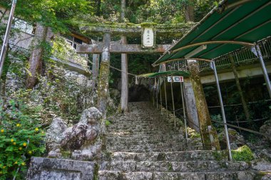 Torii kapısı ve merdivenler Kami, Kochi, Japonya 'daki Ryugado Mağarası' nın girişine çıkıyor.