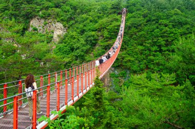 Turistler Kore DMZ yakınlarındaki Gamaksan Chulleong (Gloucester Heroes) asma köprüsünü geçerek Güney Kore, Gyeonggi-do 'daki bir ormandan geçiyorlar.