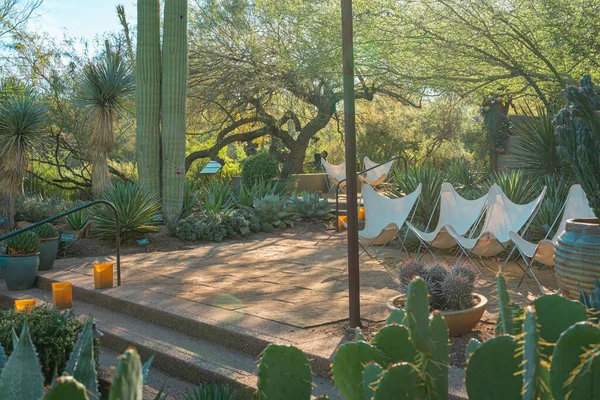 Phoenix, Arizona, ABD 'deki Çöl Botanik Bahçesi' nde kaktüslerle çevrili sandalyeli boş bir oturma alanı.