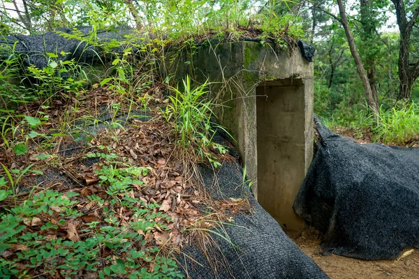 Kore Savaşı 'ndan kalma terk edilmiş harabeler. Paju, Gyeonggi-do, Güney Kore' deki Arındırılmış Bölge yakınlarında. Ormanda toprak ve molozlarla kaplanmış.