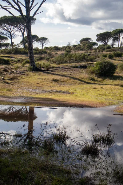 Kırsal Akdeniz manzarasında yağış sonrası oluşan geçici gölet.