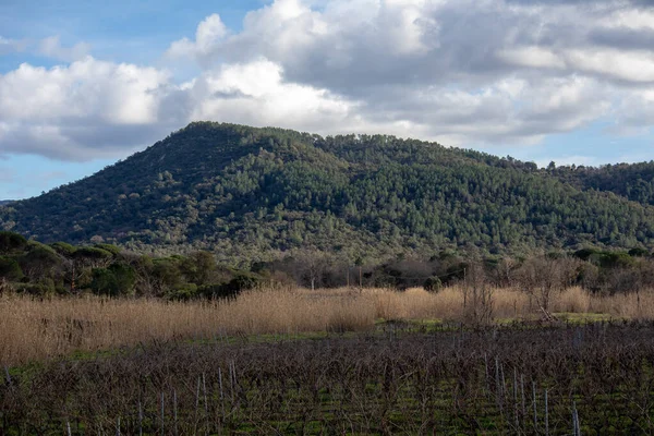 Yumuşak bulutlu atmosferi olan dağ sırtı manzarası.