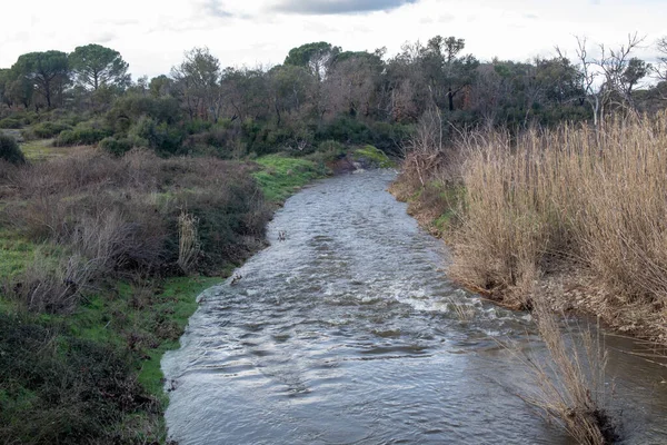 Dağlık kırlarda akan sakin bir nehir.