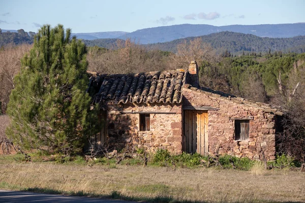 Provence kırsalında terk edilmiş taştan bir kulübe. Etrafı çimenler ve Akdeniz bitkileriyle çevrili..