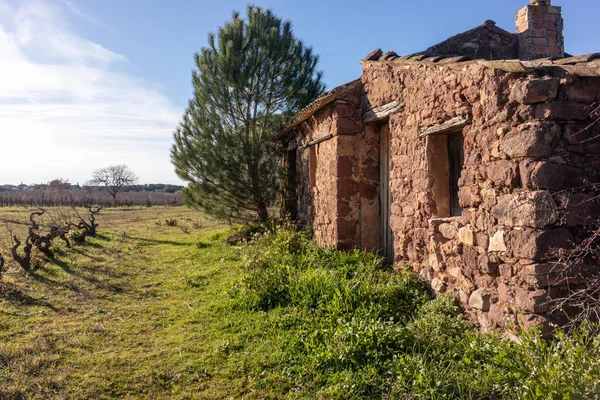 Provence kırsalında terk edilmiş taştan bir kulübe. Etrafı çimenler ve Akdeniz bitkileriyle çevrili..