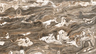 Deniz fosili yüksek çözünürlüklü İtalyan mermer desenleri ev dekorasyonu ve seramik duvar fayansları ve zemin fayansları için yüzey arkaplanı olarak kullanılır..