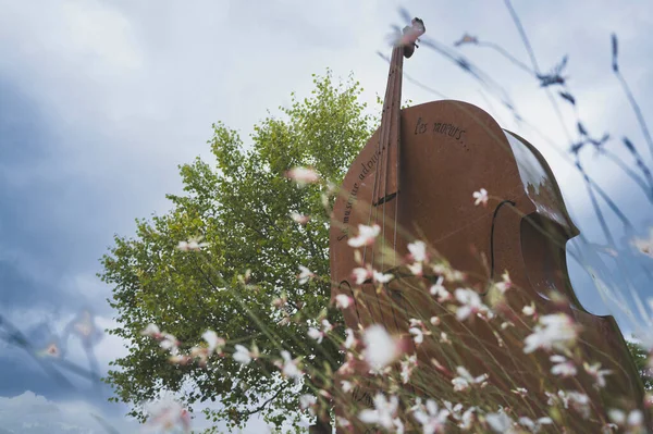 Suisse, 2024-09-05. Fribourg 'da büyük bir çello bulunur ve üzerinde 