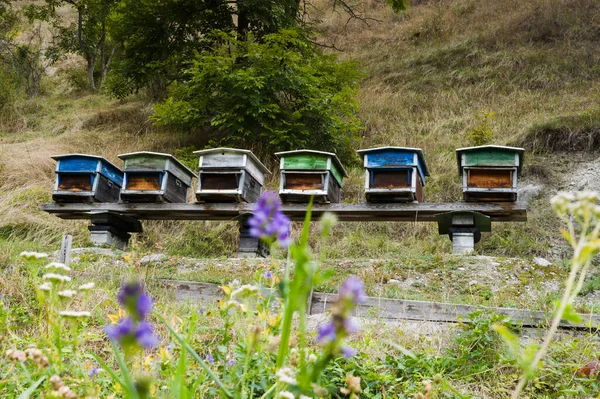 Suisse,n2024-09-14. İsviçre 'deki Evolne yolunda renkli arı kovanları