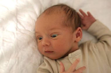 Bir kaç gün sonra yeni bir bebek doğdu, tatlı bir oğlan.