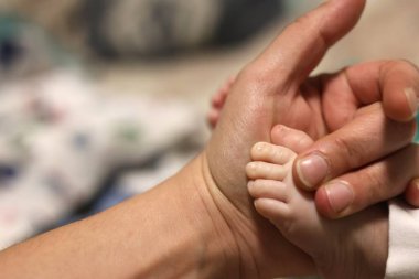 Yeni doğmuş bebek ayakları, yakın çekim.