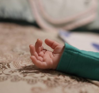 Küçük yeni doğmuş bebek eli