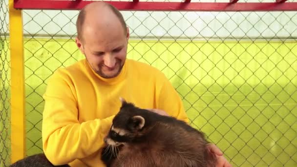 Hombre en un suéter amarillo acaricia mapache, el amor por los animales. Cautiverio de mapache, zoológico. — Vídeo de stock