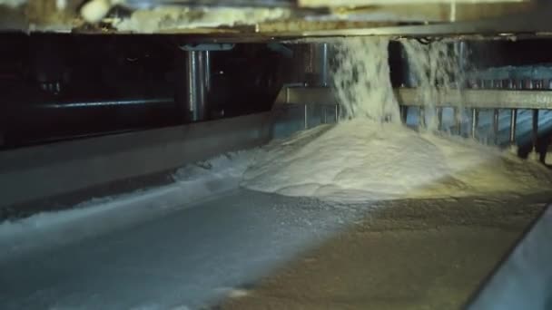 Produzione di zucchero. Pianta da barbabietola da zucchero. Il prodotto bianco viene versato sulla linea del trasportatore. — Video Stock