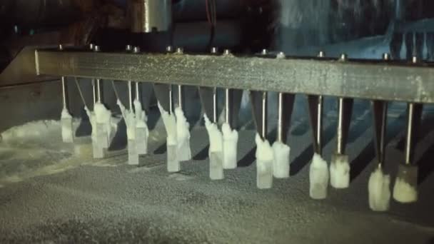 Produção de açúcar. Fábrica de beterraba sacarina. Produto branco é derramado na linha de transporte. — Vídeo de Stock