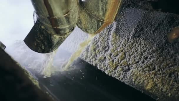 Sockerbetsanläggning. Sockerproduktion. Vitt pulver hälls från röret — Stockvideo
