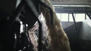 Şeker rafinerisi, konveyörde kossette pancar. Yarı bitmiş ürün gidiyor.