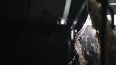 Şeker rafinerisi, konveyörde kossette pancar. Yarı bitmiş ürün gidiyor.