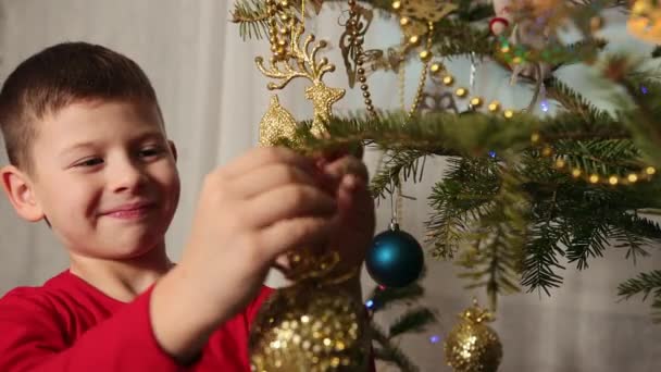 Dekorowanie choinki, wiszące ozdoby, chłopiec przykleja zabawkę na yuletide — Wideo stockowe