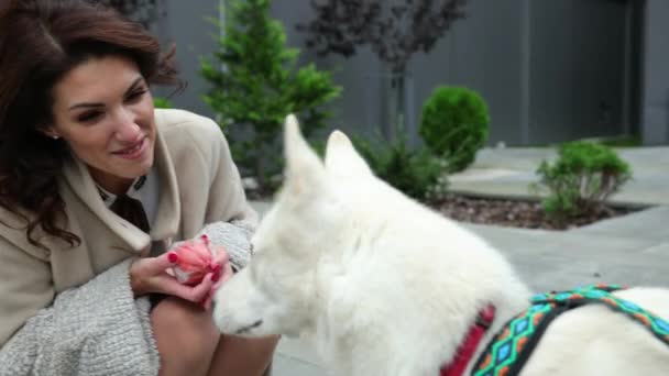 La donna adora il husky siberiano. Signora con cane animale domestico giorno nuvoloso. Felice tenuta femminile — Video Stock