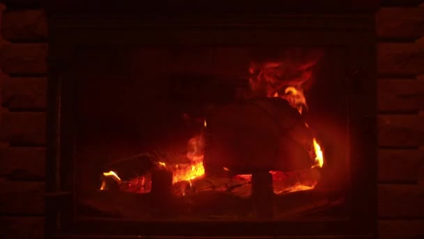 Dřevo hoří v krbu. Horké ohnivé jazyky hoří. Teplá, romantická — Stock video