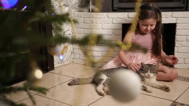 Gatito feliz le gusta ser acariciado por la mano chica. Gato descansando en el suelo, chimenea — Vídeos de Stock