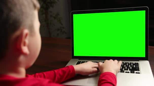 Kilátás a hátsó fiú ül asztalnál gépelés laptop zöld chroma kulcs — Stock videók