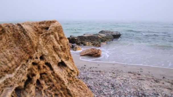 Huge waves crashing on the rocks. Seagulls enjoyed it highly. Large sea rock — Stock Video