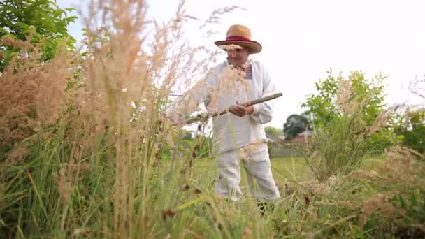 Werknemer maait hoog gras gazon trimmer in stadspark achtertuin. Proces van gazon — Stockvideo