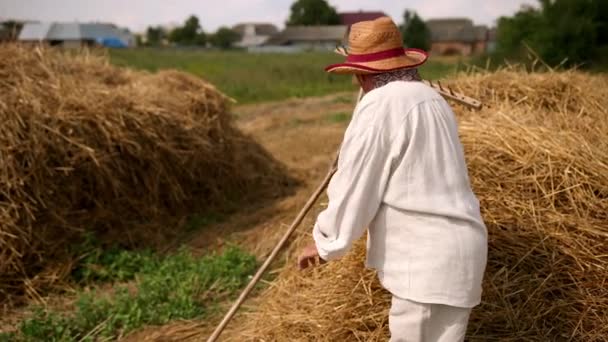 Tired grandfather after hard work sits down on a haystack, rests, wipes sweat — Stock Video