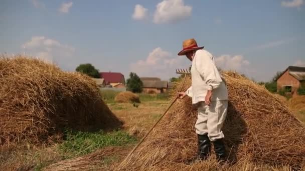 Moe grootvader na hard werken gaat zitten op een hooiberg, rust, veegt zweet — Stockvideo