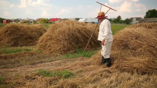 Втомлений дідусь після важкої роботи сідає на стовбур сіна, відпочиває, протирає піт — стокове відео