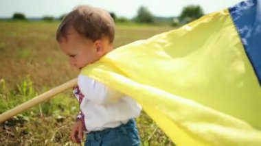 Oğlum buğday tarlasında Ukrayna bayrağı sallıyor, yalnız vatansever adam ayakta duruyor, Ukrayna.