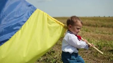 Oğlum buğday tarlasında Ukrayna bayrağı sallıyor, yalnız vatansever adam ayakta duruyor, Ukrayna.