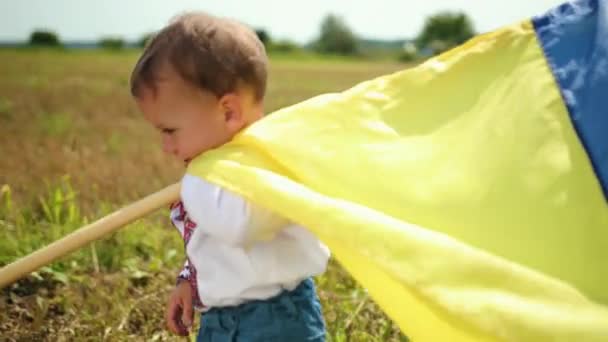 Sohn schwenkt ukrainische Flagge auf Weizenfeld, einsamer Patriot im Stehen, Ukraine. — Stockvideo