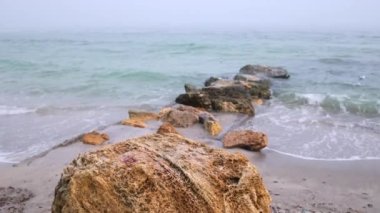 Biraz daha uzakta kayalarda dinlenen martı yüzüyor. Martı kuşu deniz kuşu yüzer