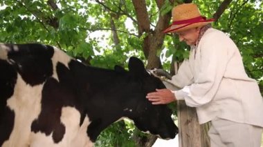 Ukrayna vyshyvanka 'sı ve hasır şapkalı yaşlı bir dede ineği kafasından tutar.