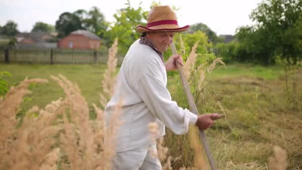 Sekám trávu starou kosou. Starší farmář tradičně seká trávník. Muž. — Stock video