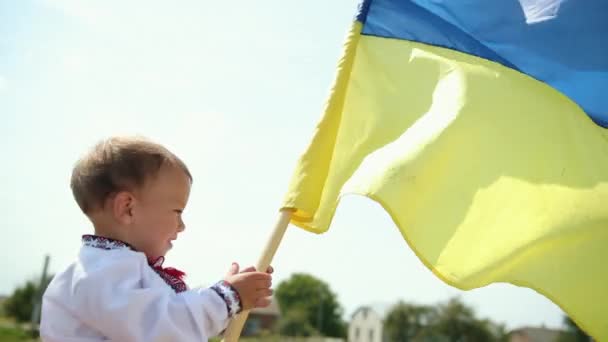 Hijo ondeando bandera ucraniana en el campo de trigo, hombre patriota solitario de pie, Ucrania. — Vídeo de stock