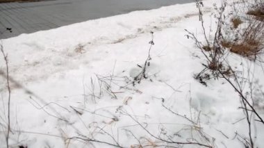 İnce adamların yakın çekimi bacak kotları, karlı kış aylarında botlar, dikiz manzarası.