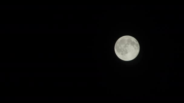 검은 배경에 달이 빛나고 있습니다. 달은 행성의 궤도를 도는 천체입니다. — 비디오