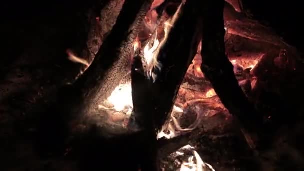 Hand throws mobile into fire. Phone is burning. Burn elegant bonfire — Stock Video