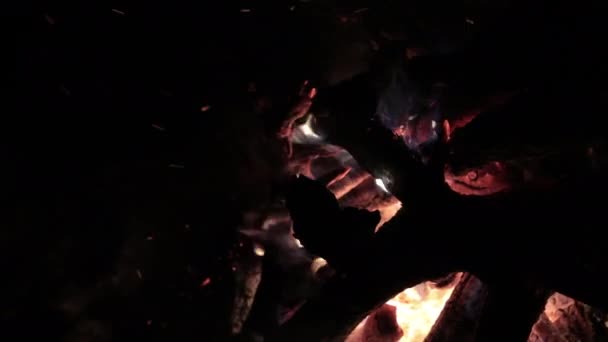 Zarif şenlik ateşi yakın. Kamp ateşi. Yakından yakılacak odun yığını turuncu yanıyor — Stok video