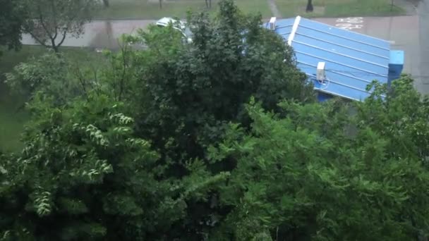 Liście poruszające się podczas huraganu. Klimat katastrofa tropikalne burze drzew — Wideo stockowe