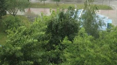 Kentte fırtınalı deniz manzarası, büyük dalgalar ve yaprak döken ağaçlar, rüzgar..