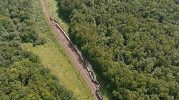 아리우스적 인 관점. 기차 사고. 기관차가 탈선하여 구조 작업을 하고 있는 모습 — 비디오