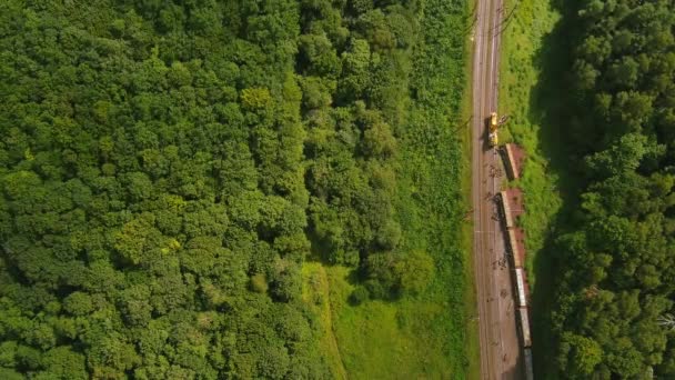 Arial görüş. Yük treni kazası, nakliye kazası, tren hasarı. — Stok video