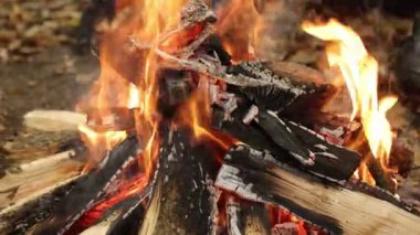 Parlak közler, ateş sıcaklığı, odun közleri. Açık hava ortamında, yakın çekim, yanan odunlar ve parlayan közlerle, sıcaklık ve ışık yayan kükreyen kamp ateşini gösteriyor..